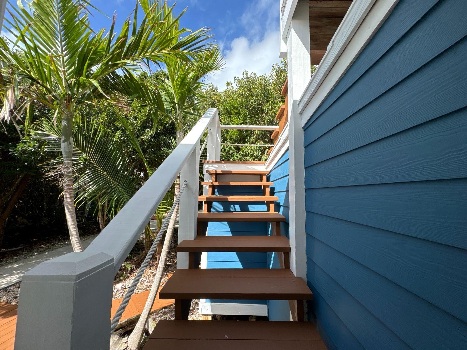 THE GREEN HOUSE, CAT 6 CA