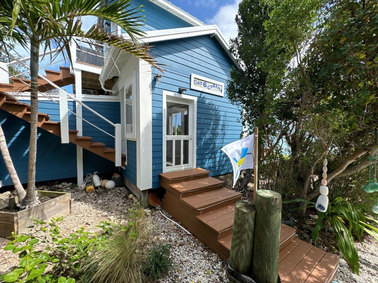 THE GREEN HOUSE, CAT 6 CA