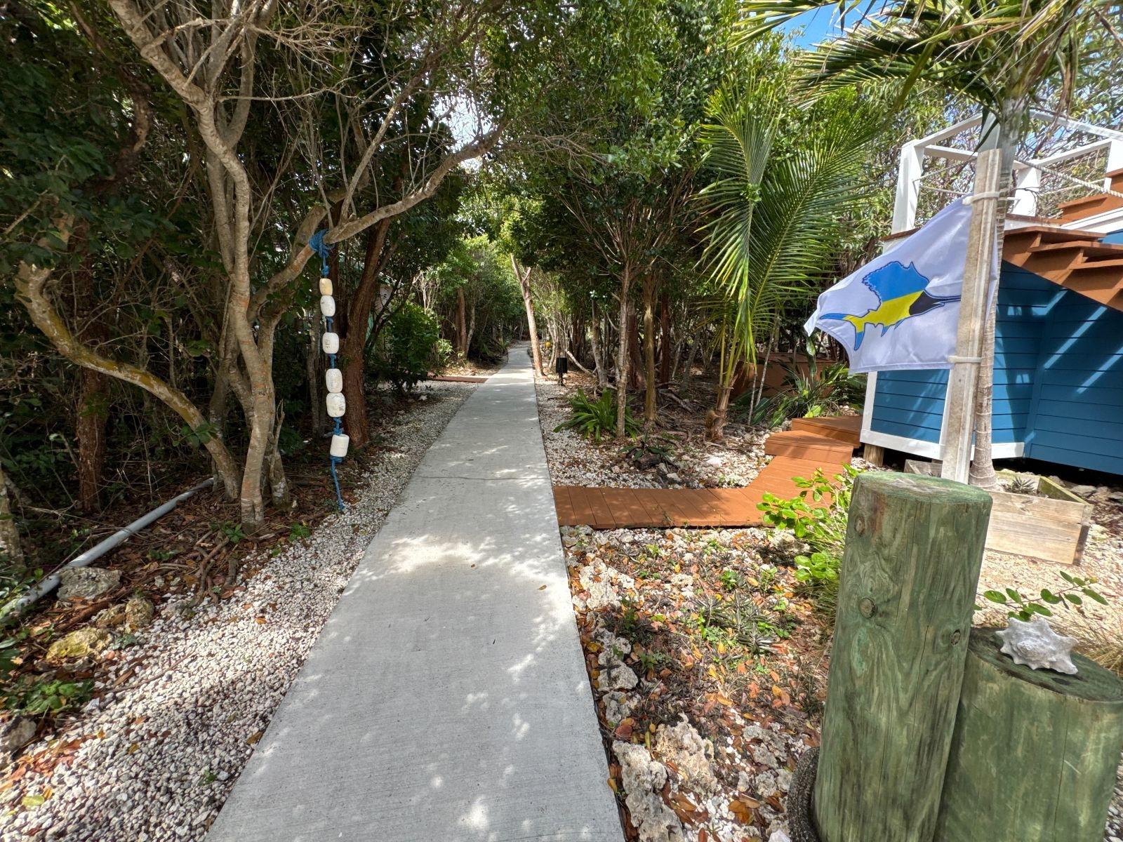 THE GREEN HOUSE, CAT 6 CA