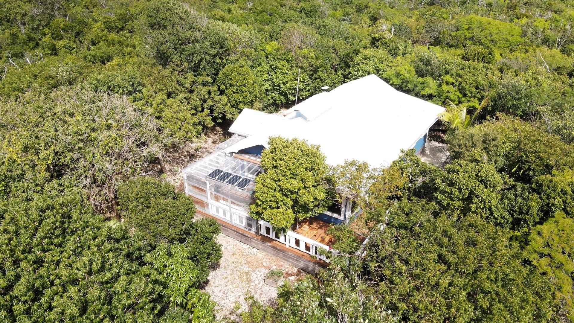 THE GREEN HOUSE, CAT 6 CA