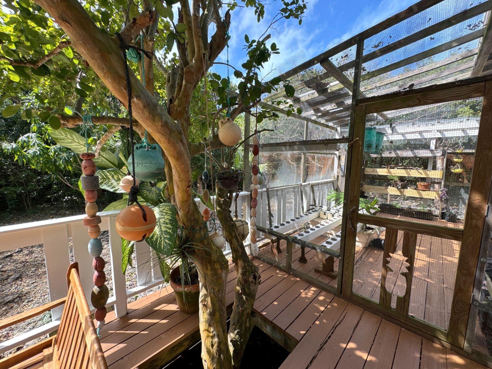 THE GREEN HOUSE, CAT 6 CA