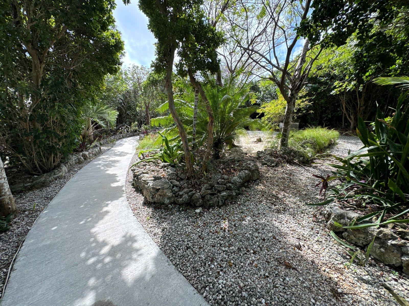 THE GREEN HOUSE, CAT 6 CA