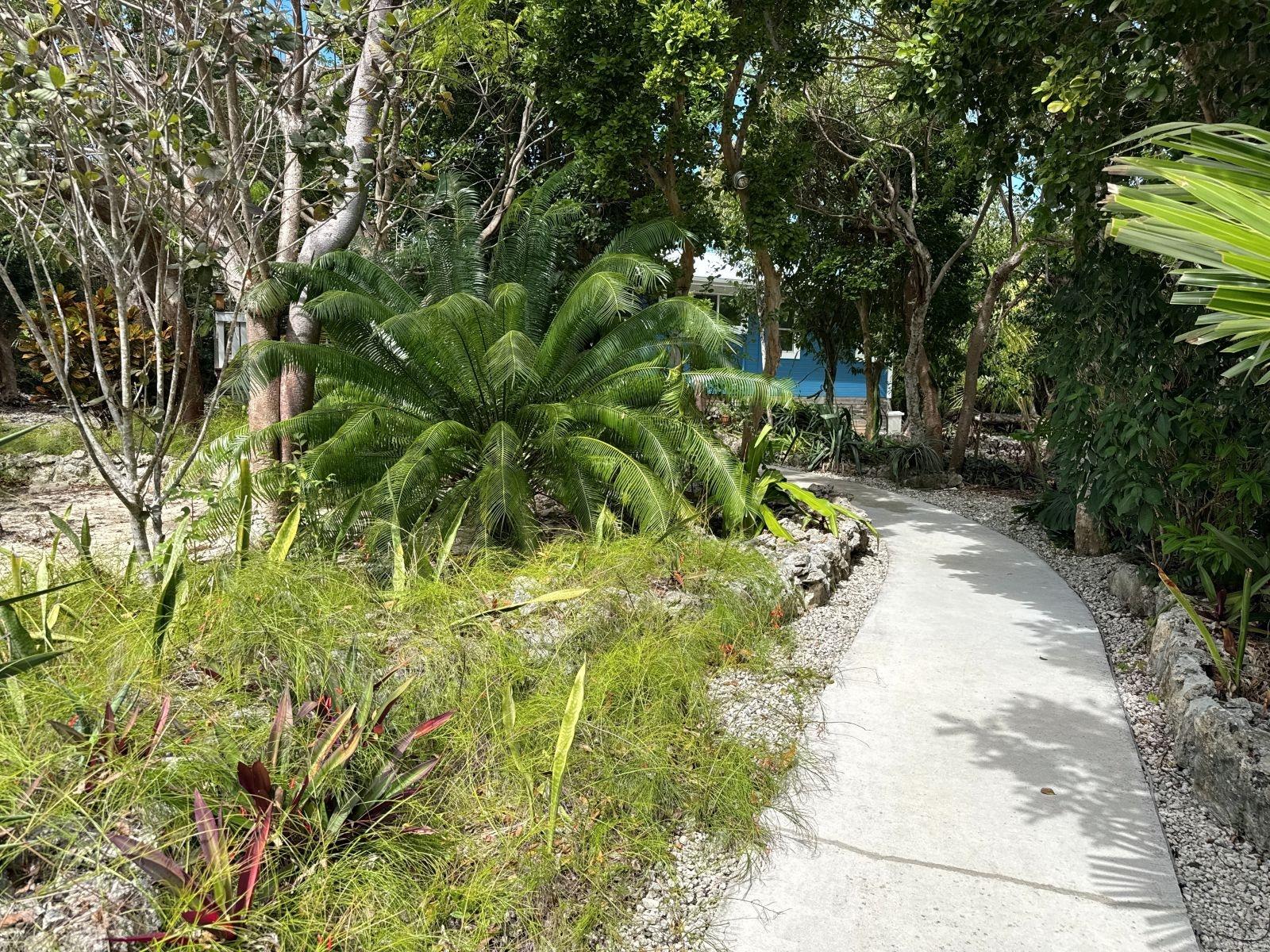 THE GREEN HOUSE, CAT 6 CA