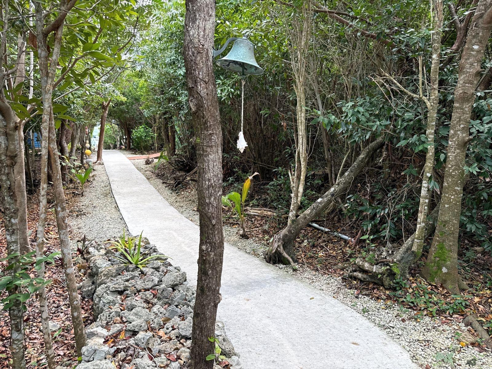 THE GREEN HOUSE, CAT 6 CA