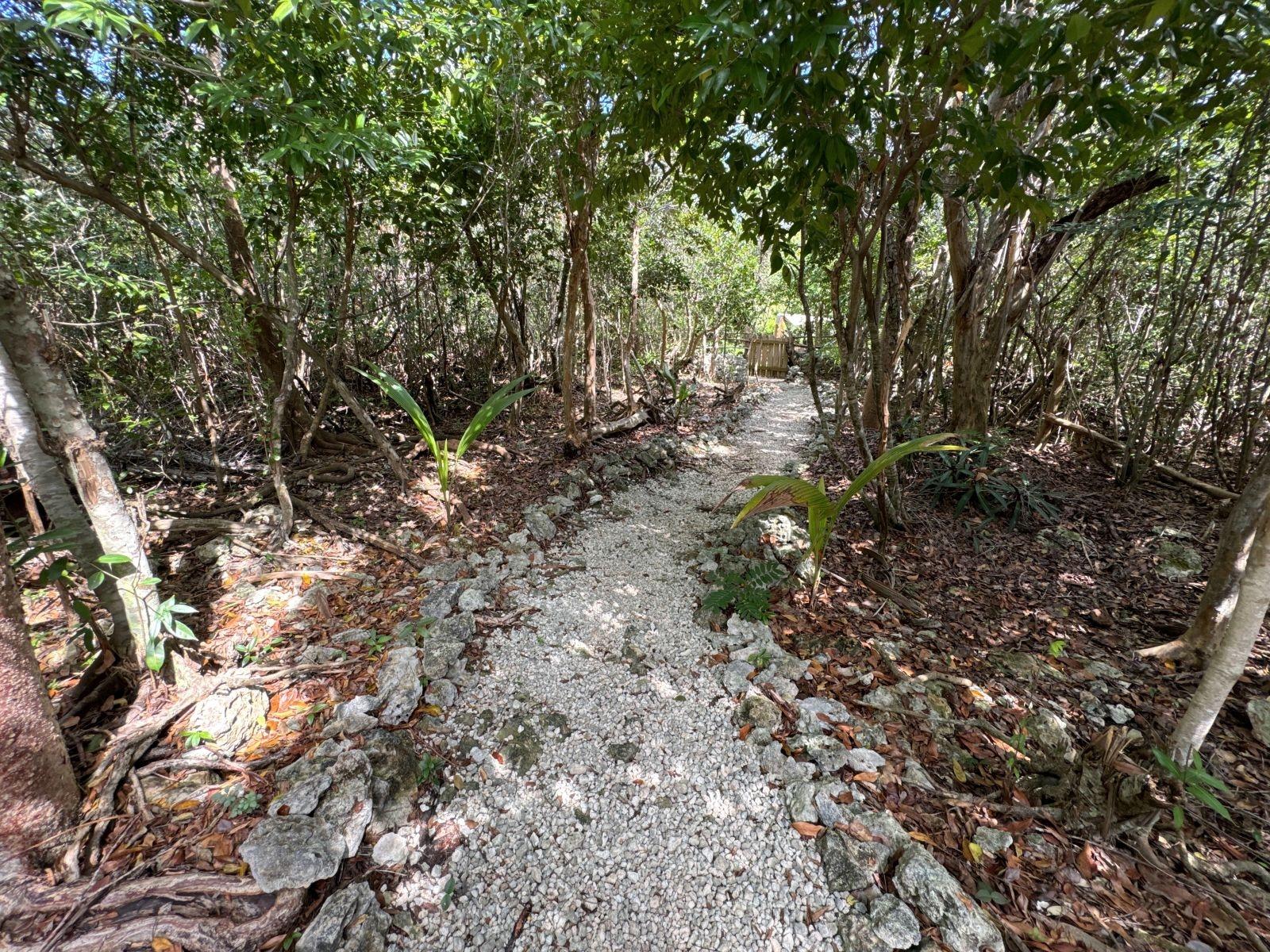 THE GREEN HOUSE, CAT 6 CA