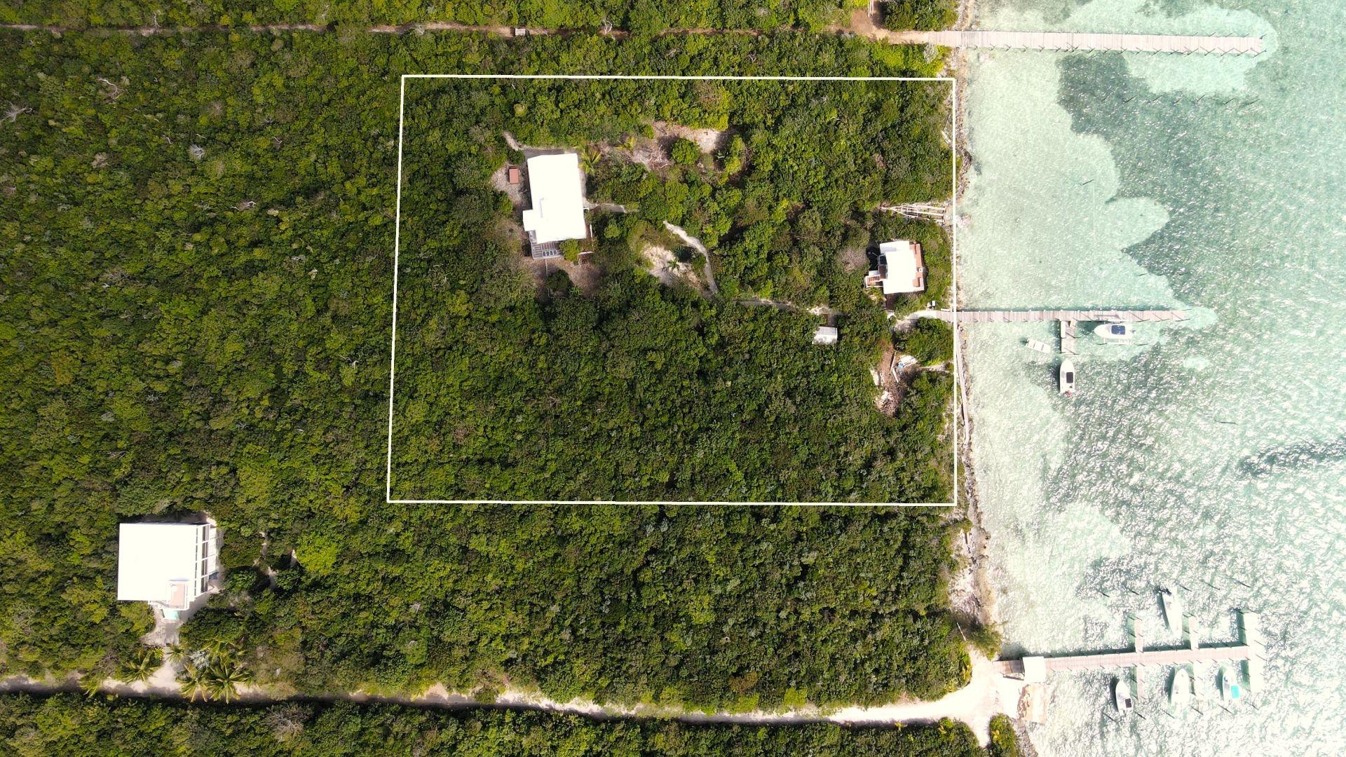 THE GREEN HOUSE, CAT 6 CA