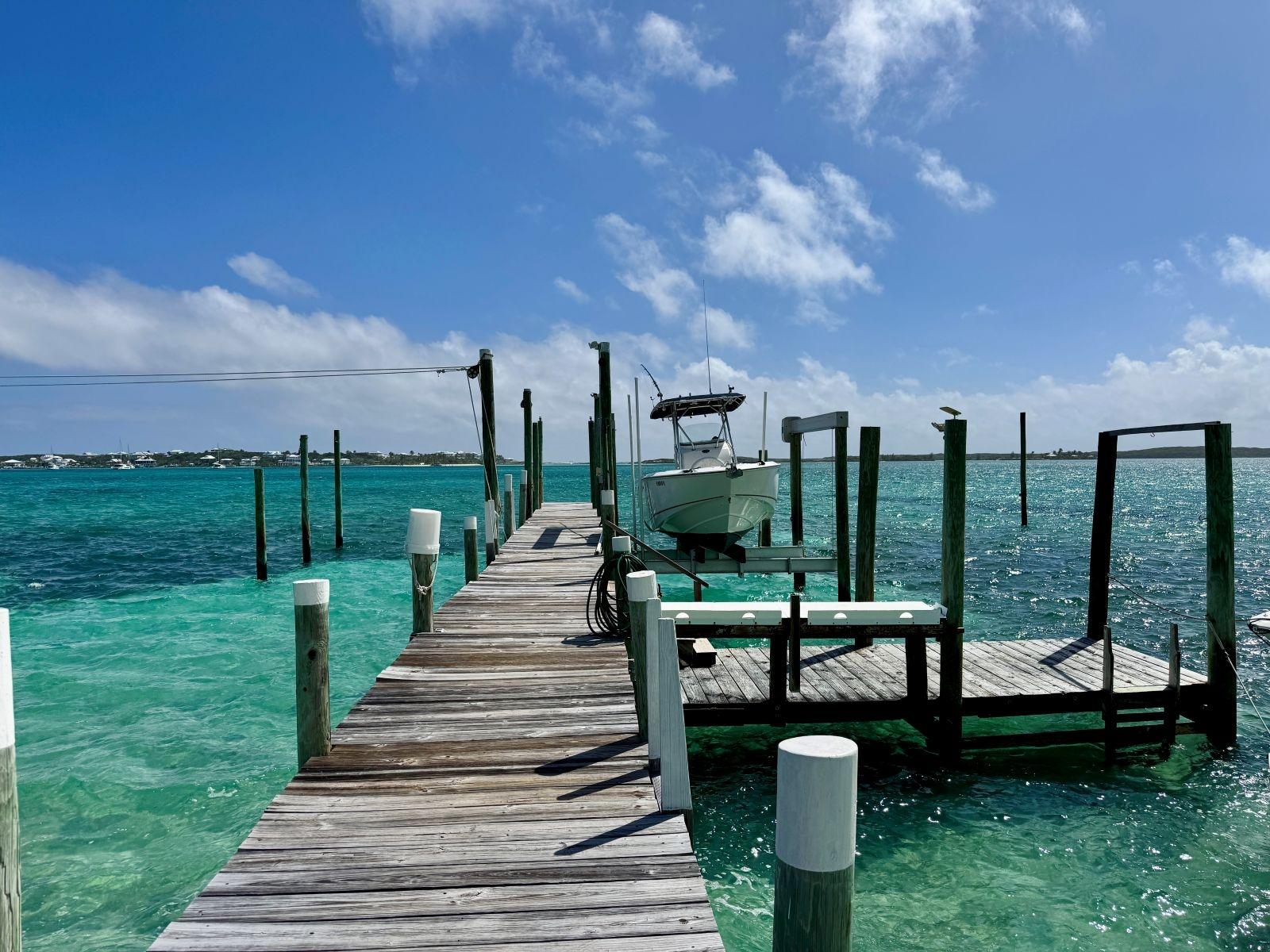 THE GREEN HOUSE, CAT 6 CA