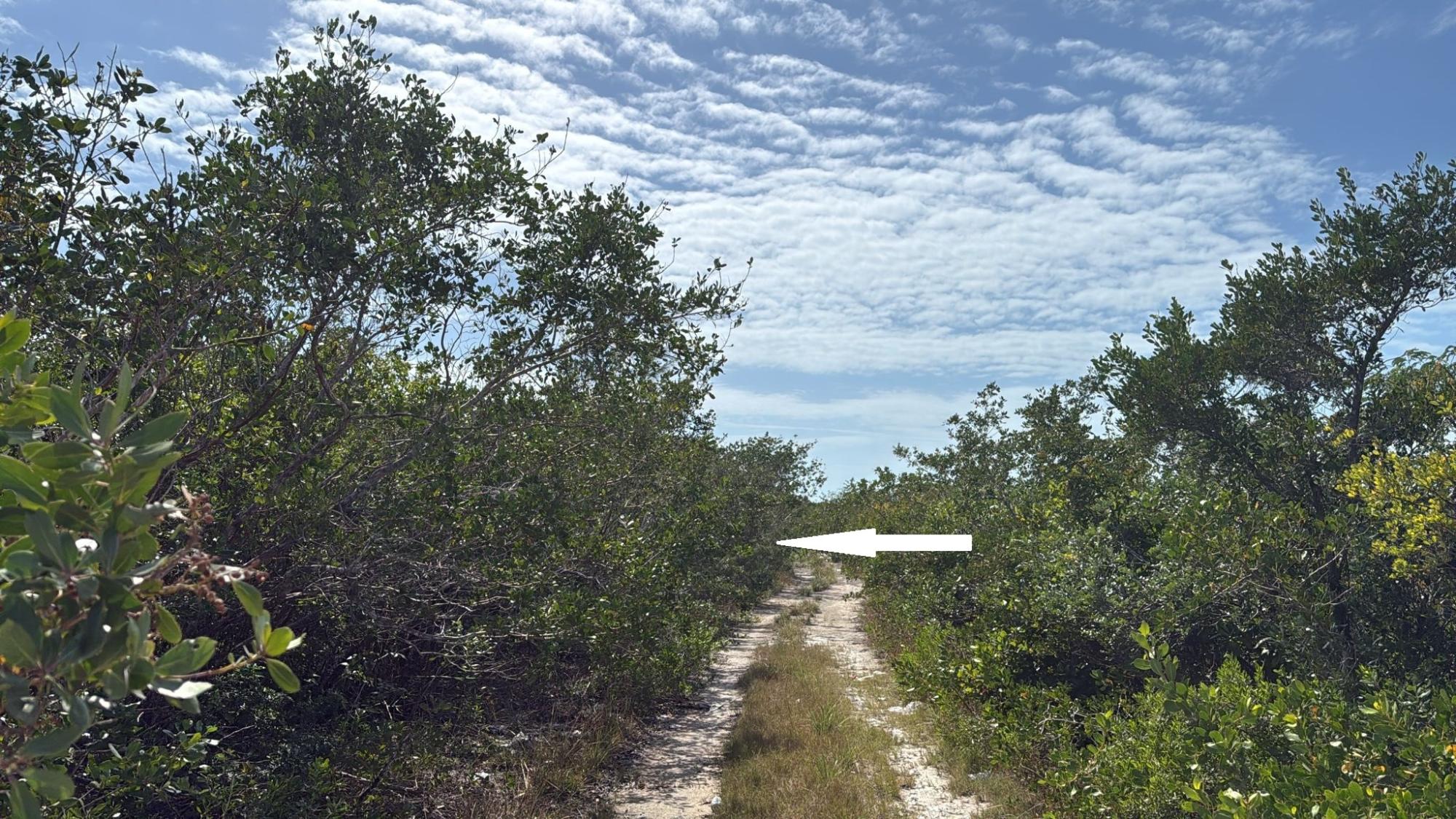 LOT 7693M BAHAMA SOUND 11