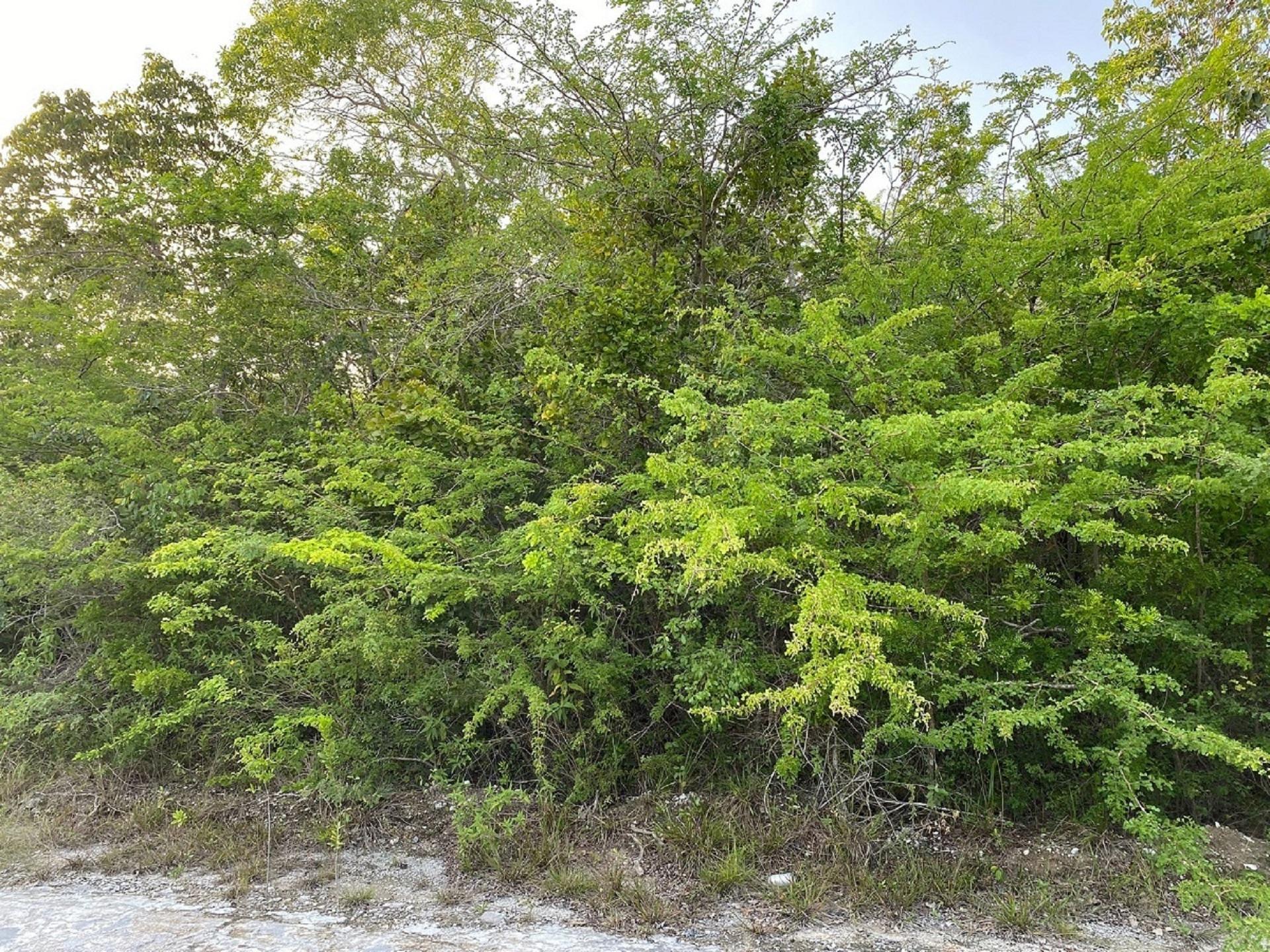 LOT 7693M BAHAMA SOUND 11