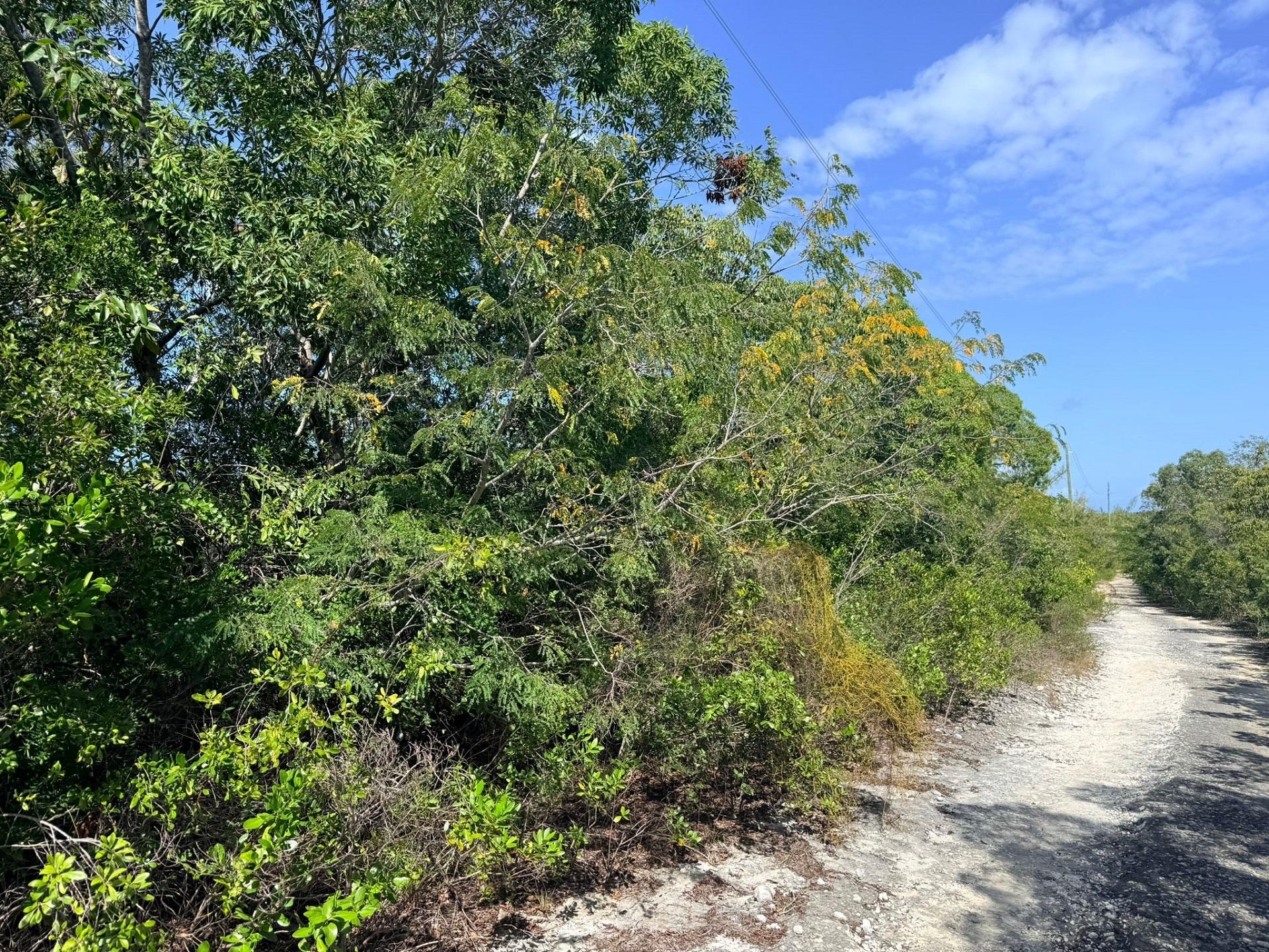 LOT 7693M BAHAMA SOUND 11