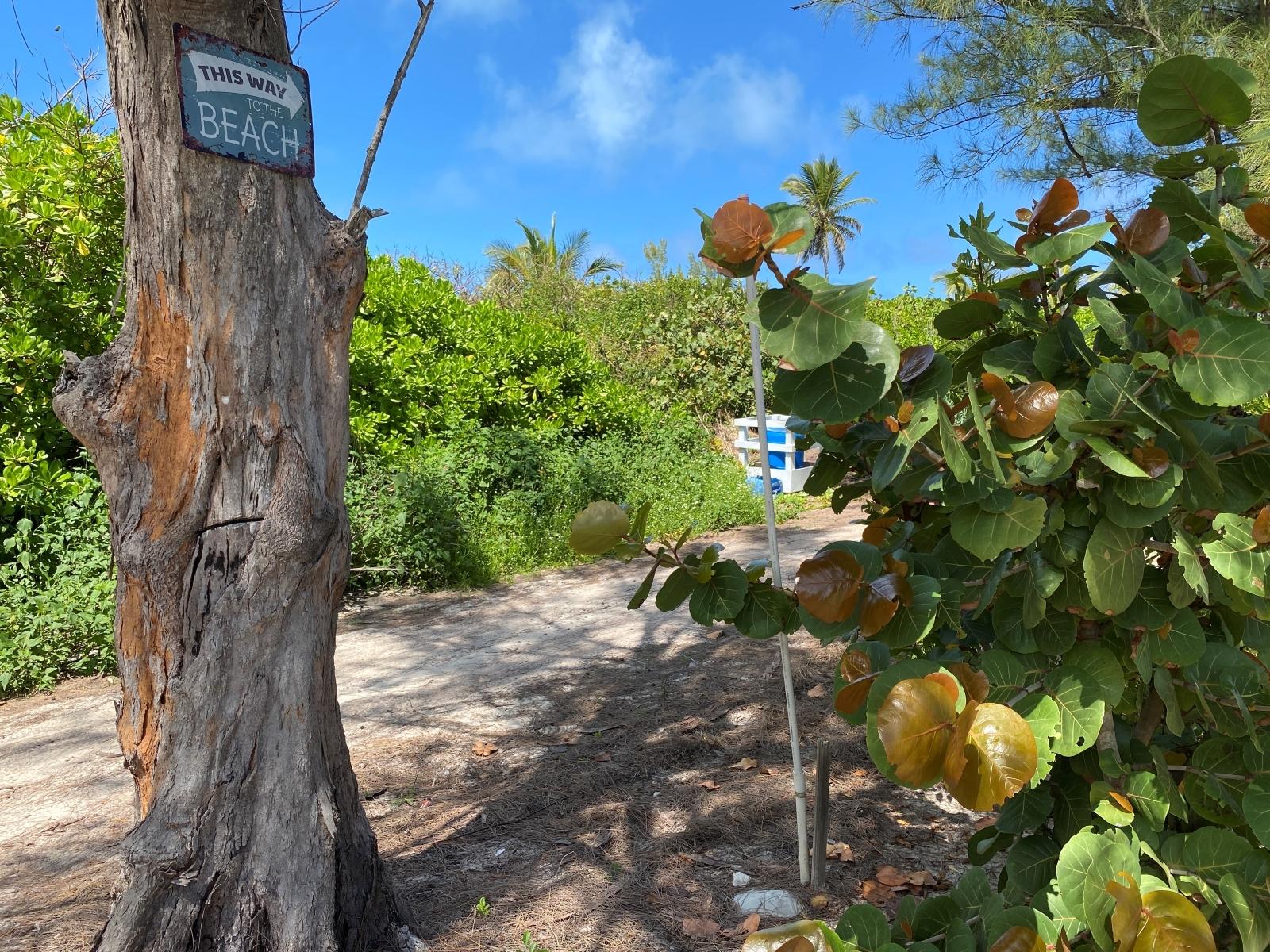 DOLPHIN BEACH ESTATES