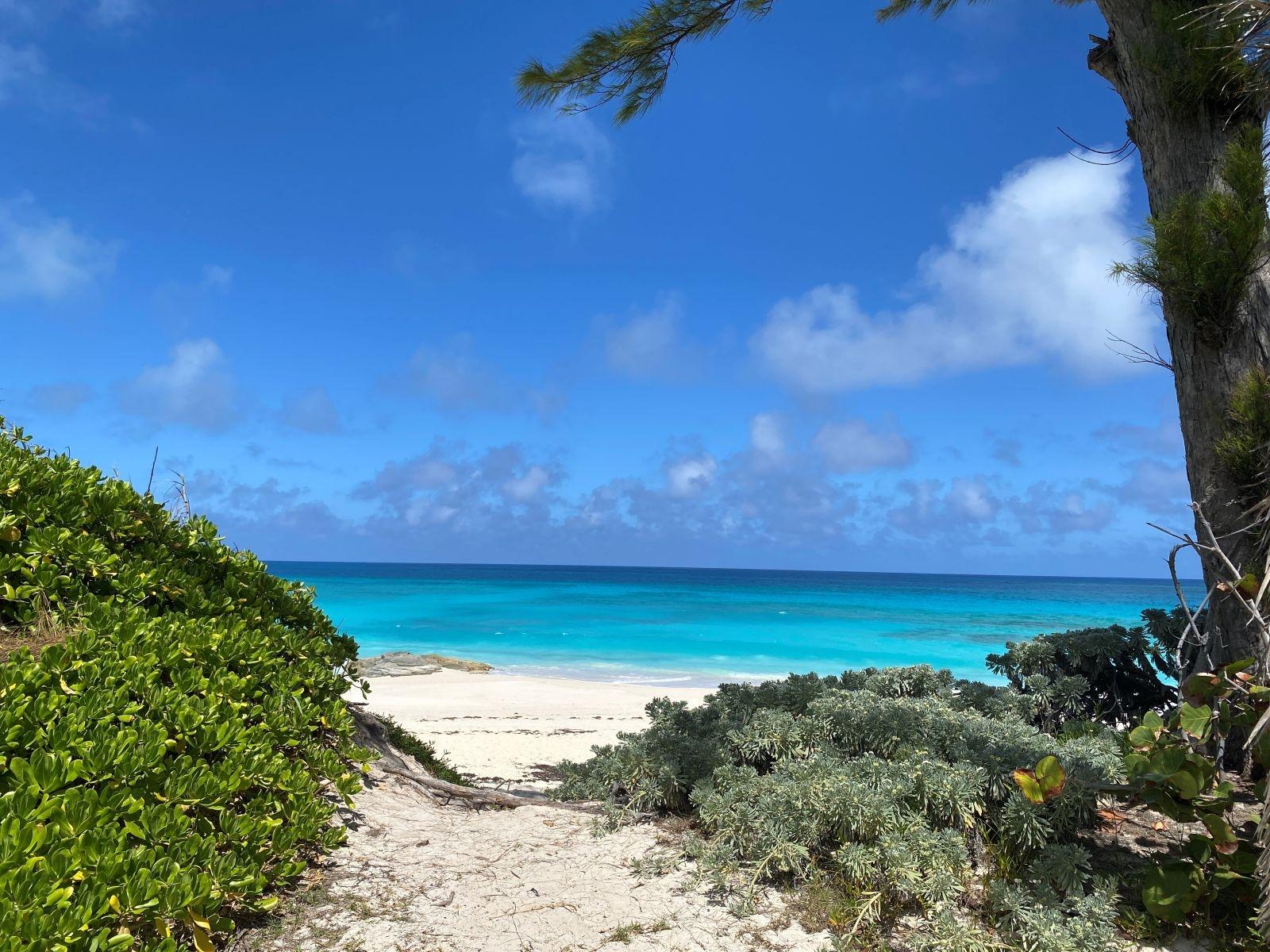 DOLPHIN BEACH ESTATES