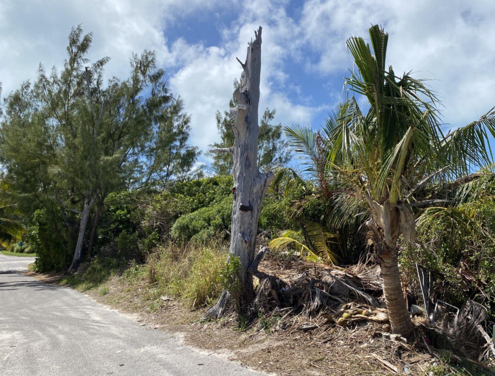 DOLPHIN BEACH ESTATES