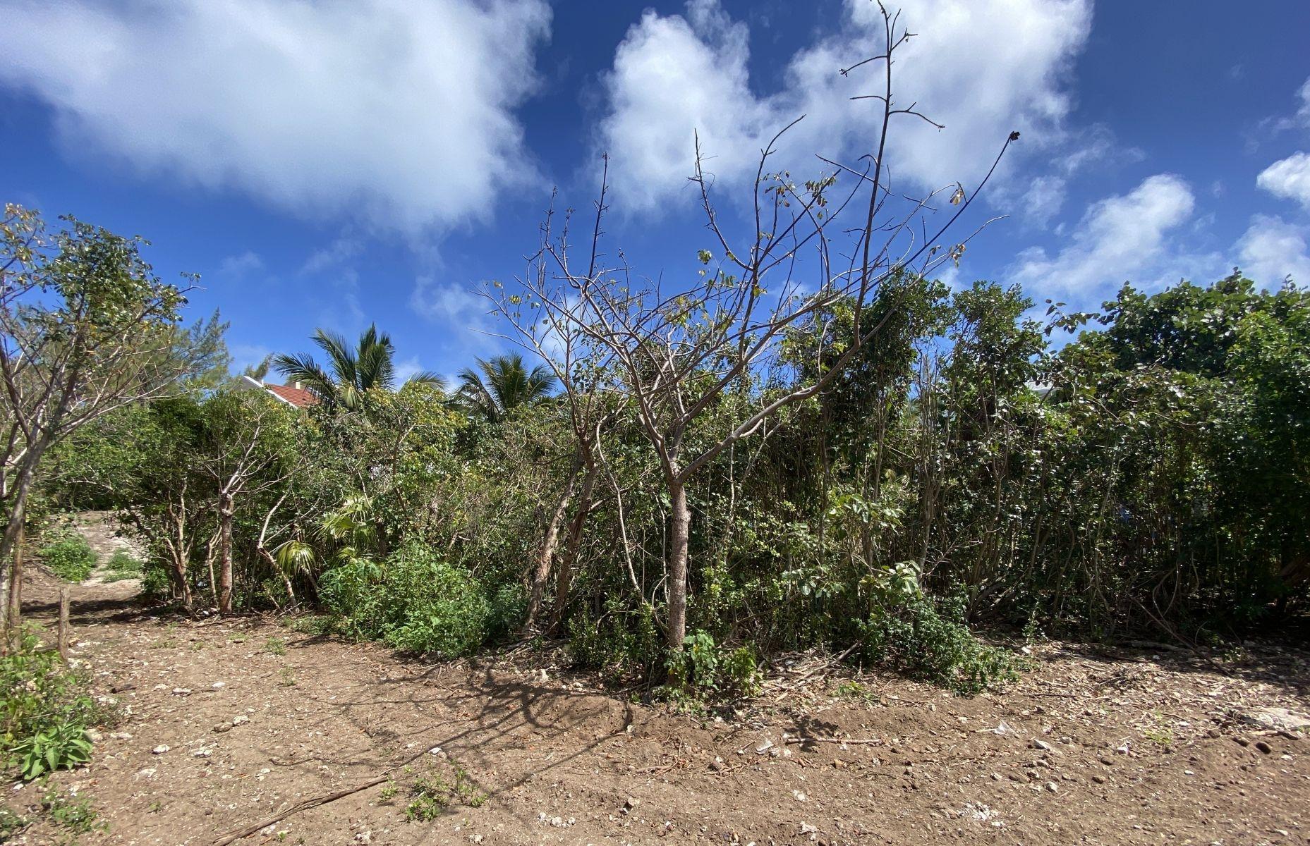 DOLPHIN BEACH ESTATES