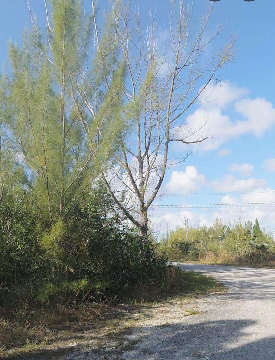 Lot 14, Block 8, Uni