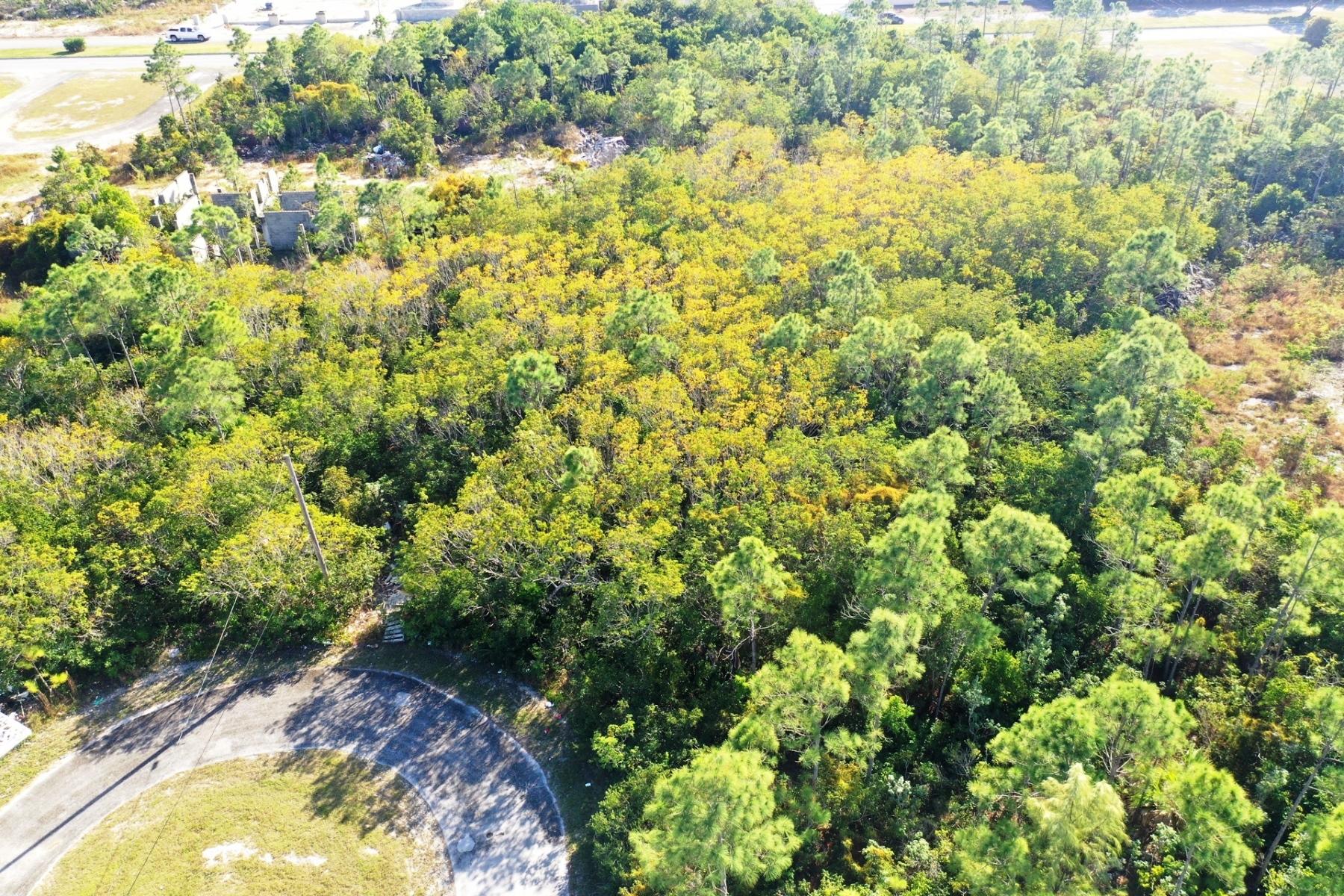 LOT 10, SOUTH BAHAMIA