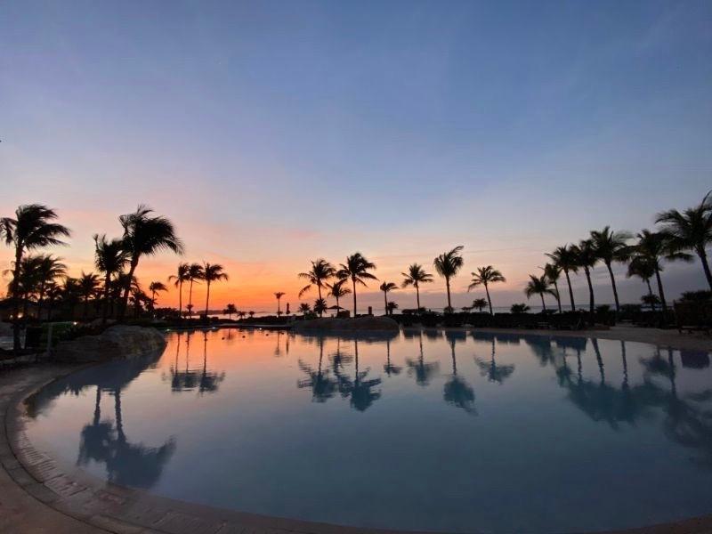 THE REEF AT ATLANTIS