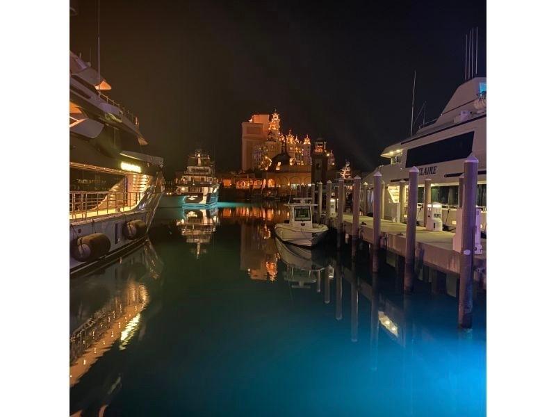 THE REEF AT ATLANTIS