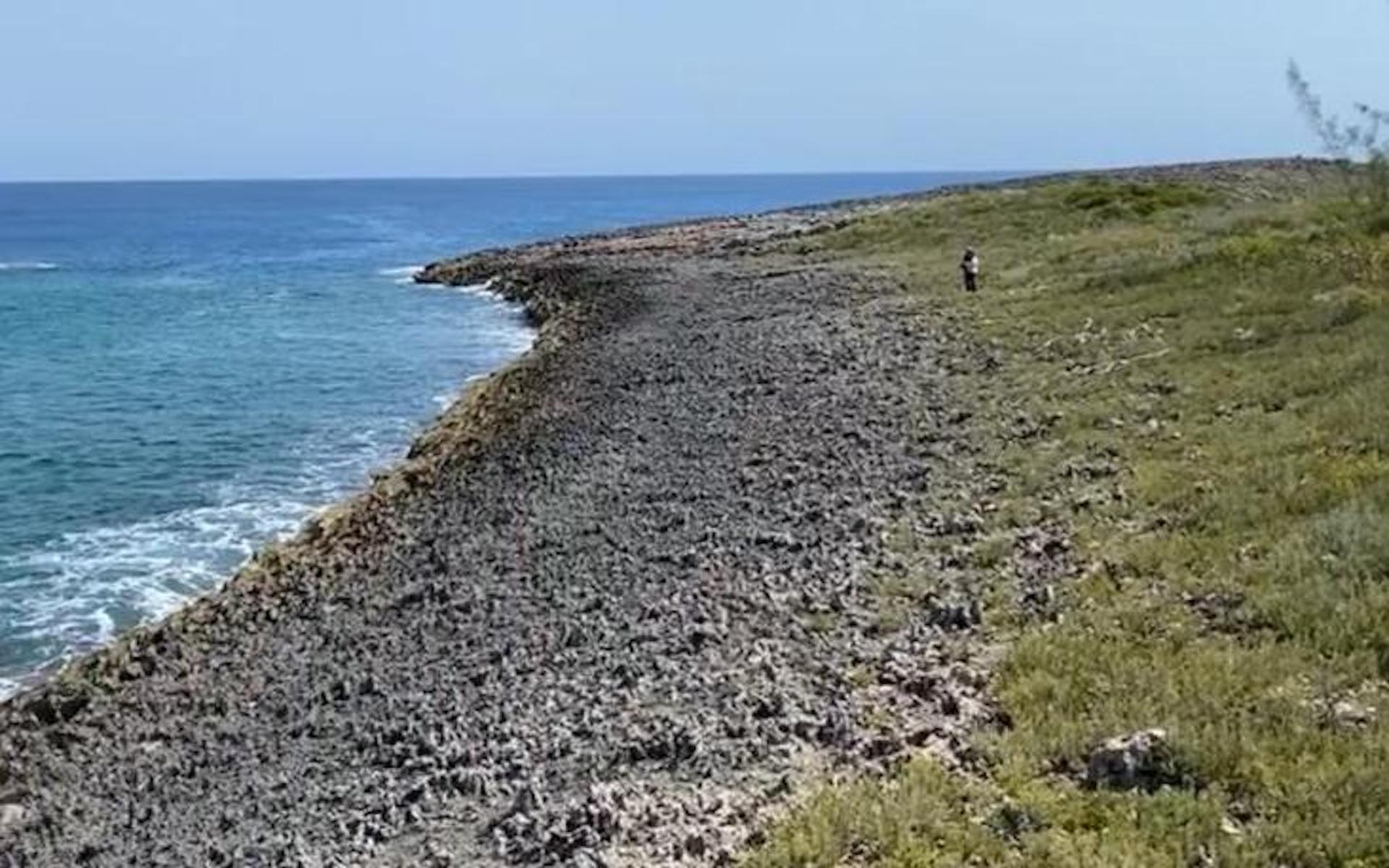 SECTION D, RAINBOW BAY