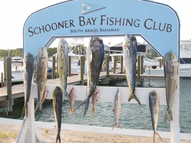 15 BAY ST SCHOONER BAY