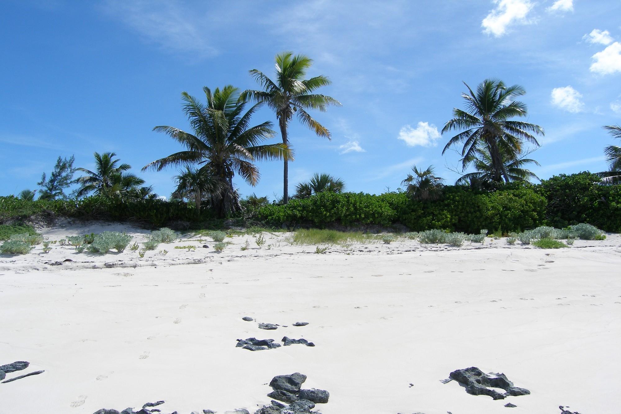 Banks RoadBeachfront