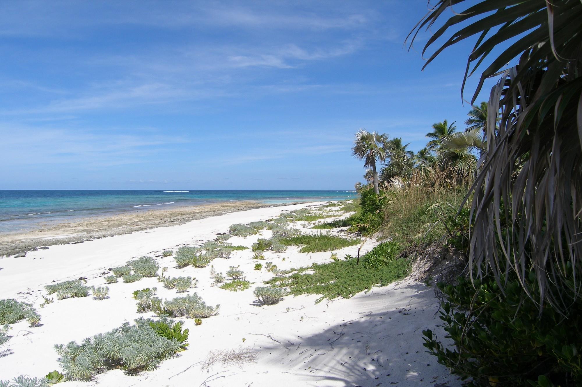 Banks RoadBeachfront