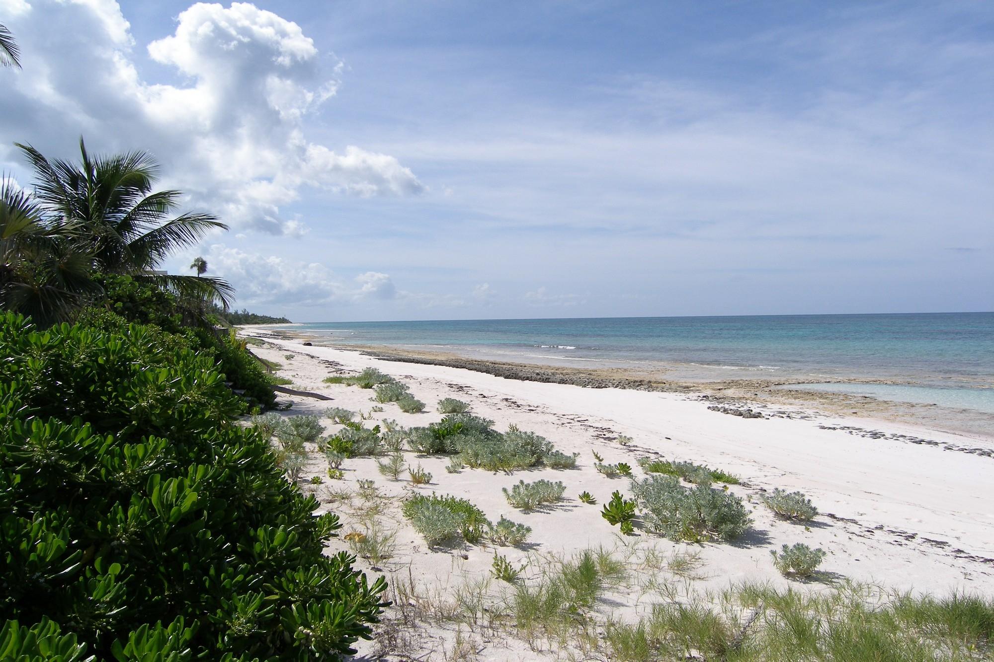 Banks RoadBeachfront