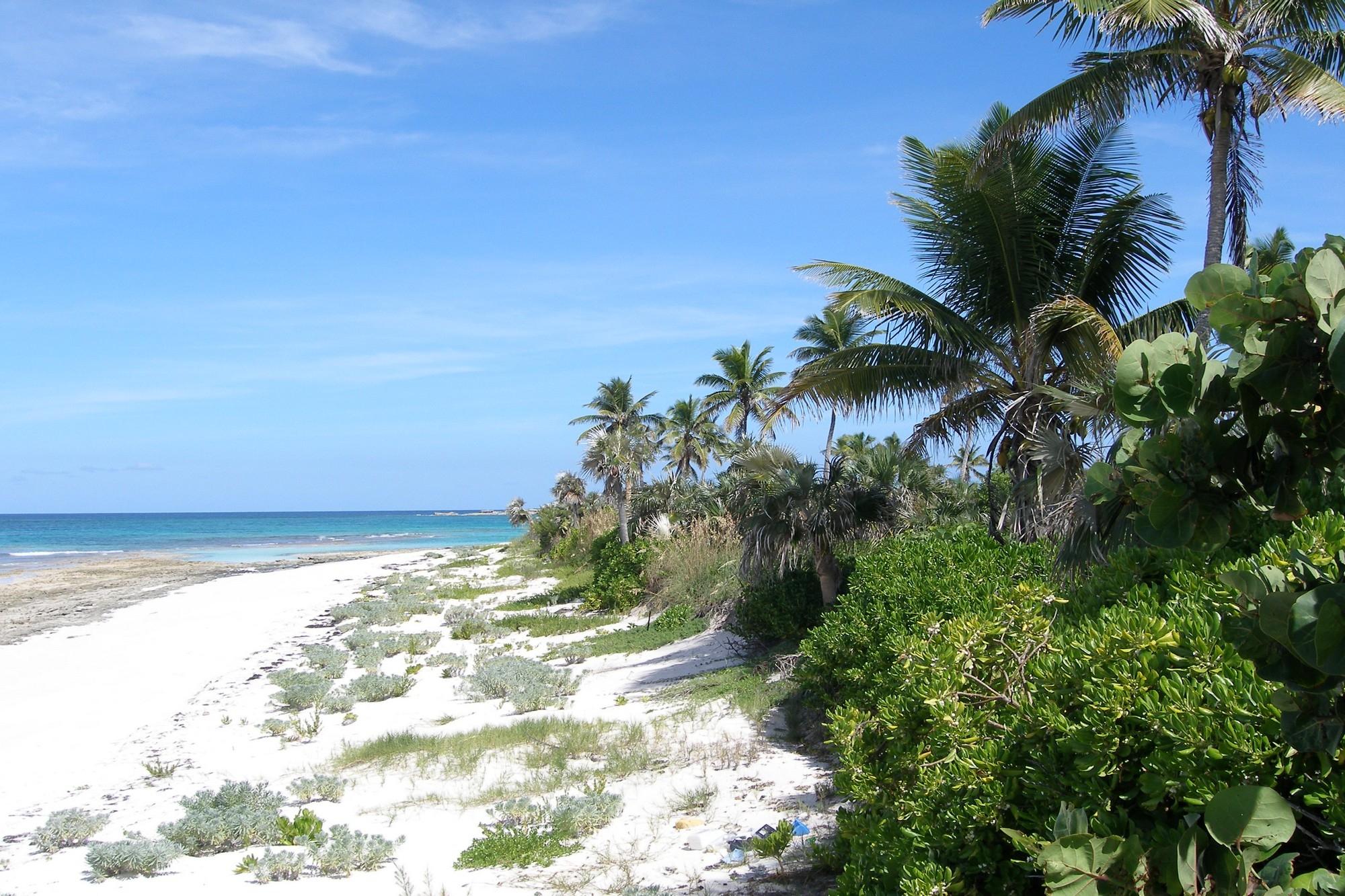 Banks RoadBeachfront