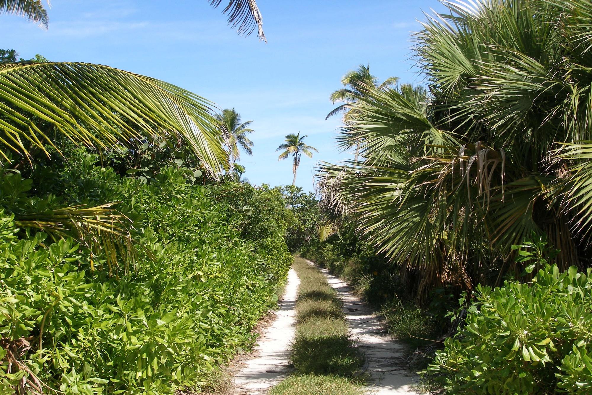 Banks RoadBeachfront