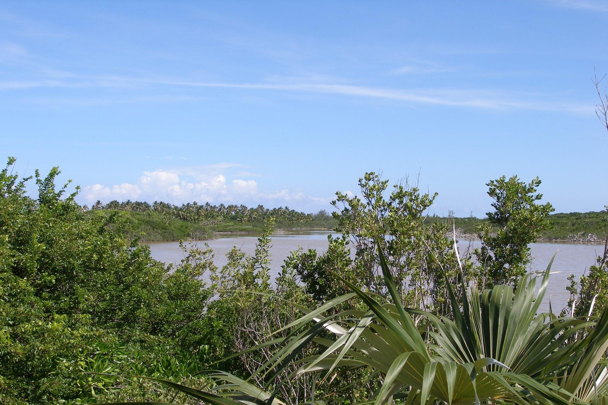 Banks RoadBeachfront