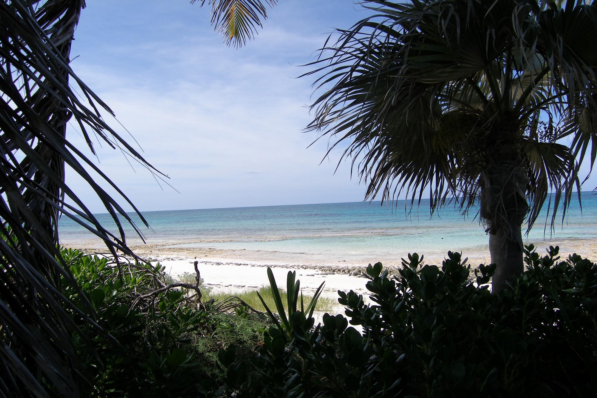 Banks RoadBeachfront