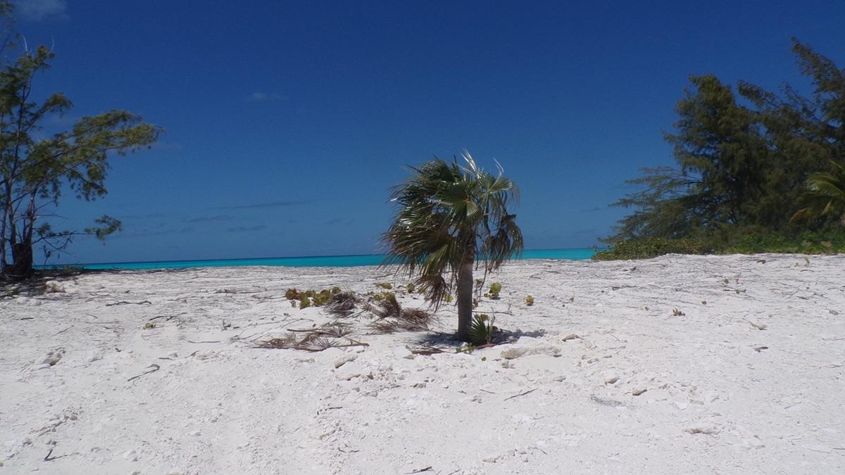 LOT# B 32 CAPE SANTA MARI