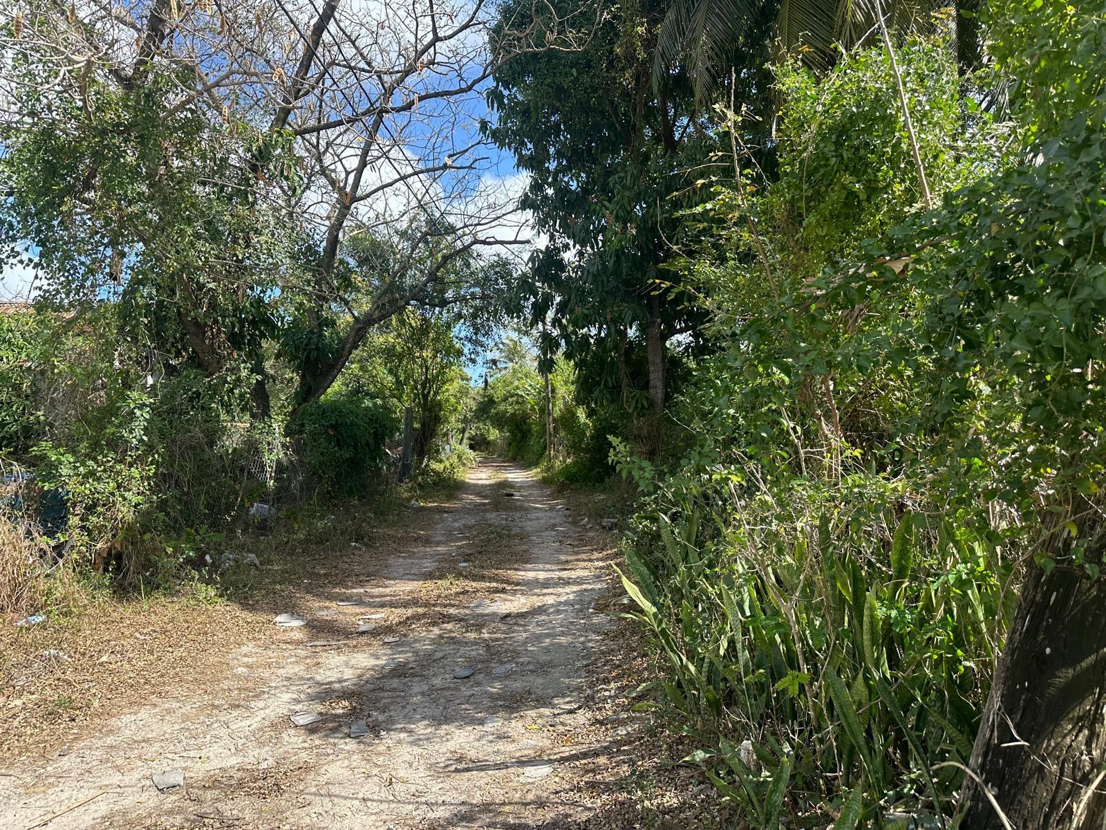 TONIQUE WILLIAMS-DARLING PARCEL 5 — 5.608 ACRES