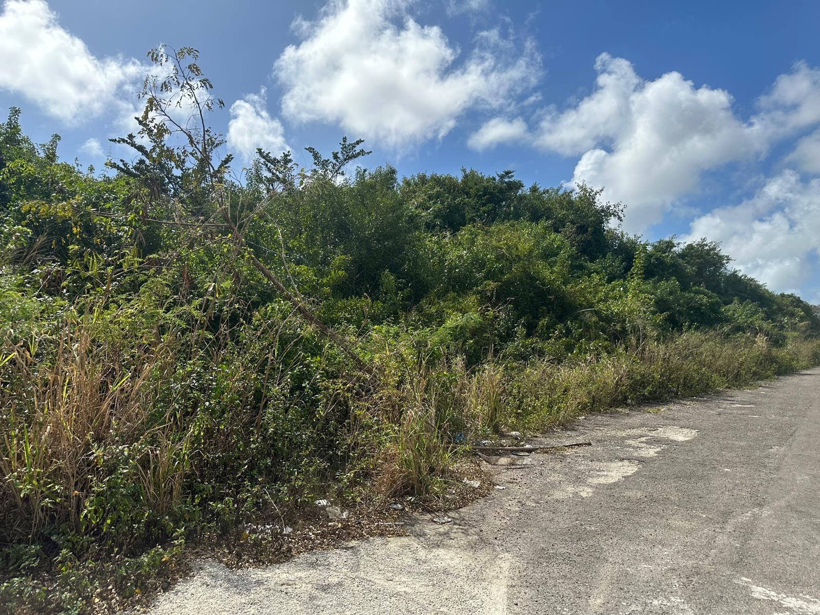 TONIQUE WILLIAMS-DARLING PARCEL 5 — 5.608 ACRES