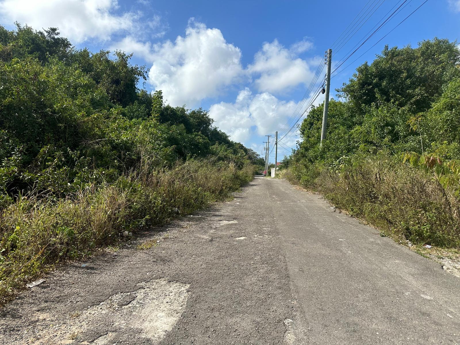 TONIQUE WILLIAMS-DARLING PARCEL 5 — 5.608 ACRES