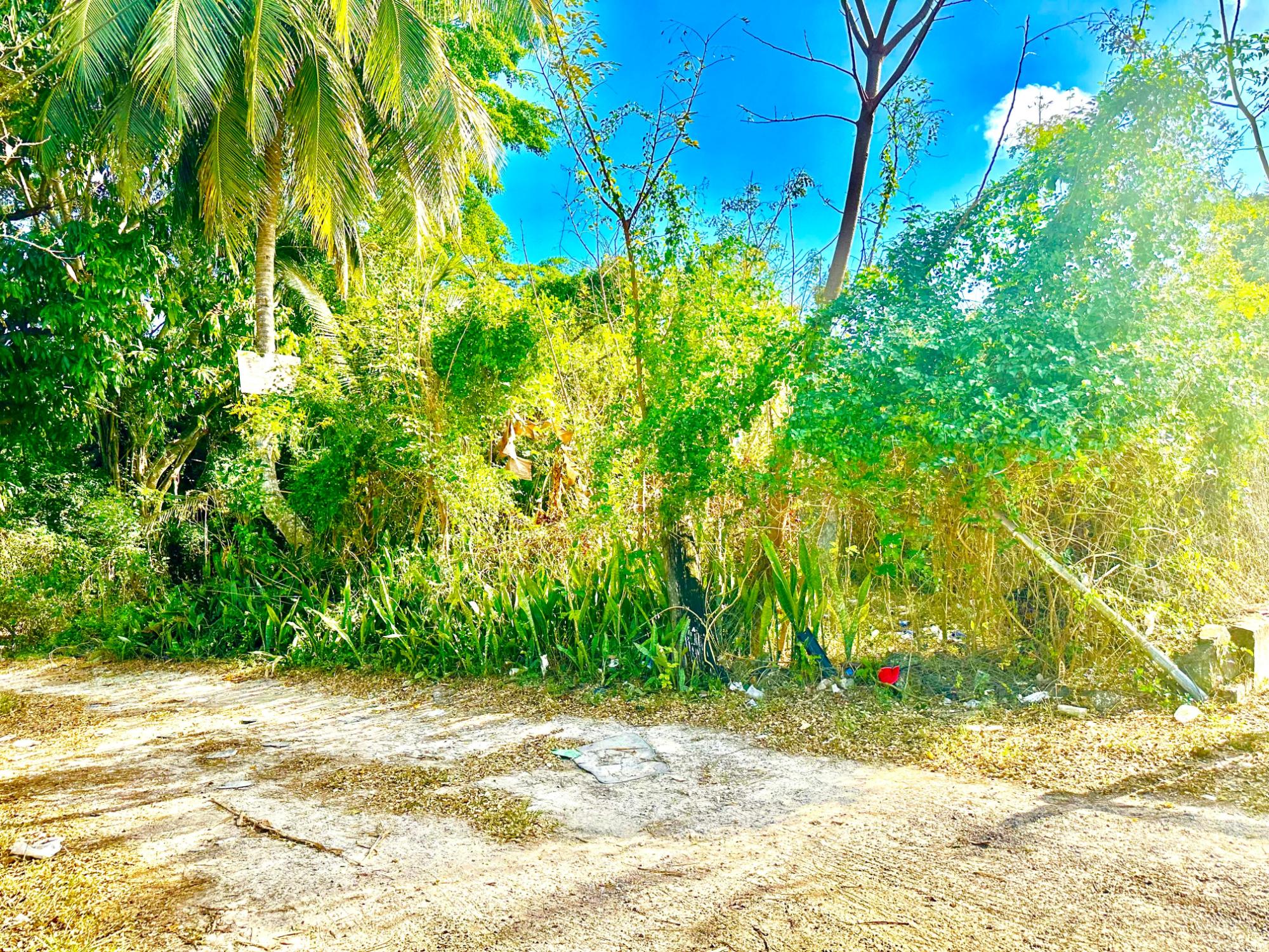 TONIQUE WILLIAMS-DARLING PARCEL 5 — 5.608 ACRES