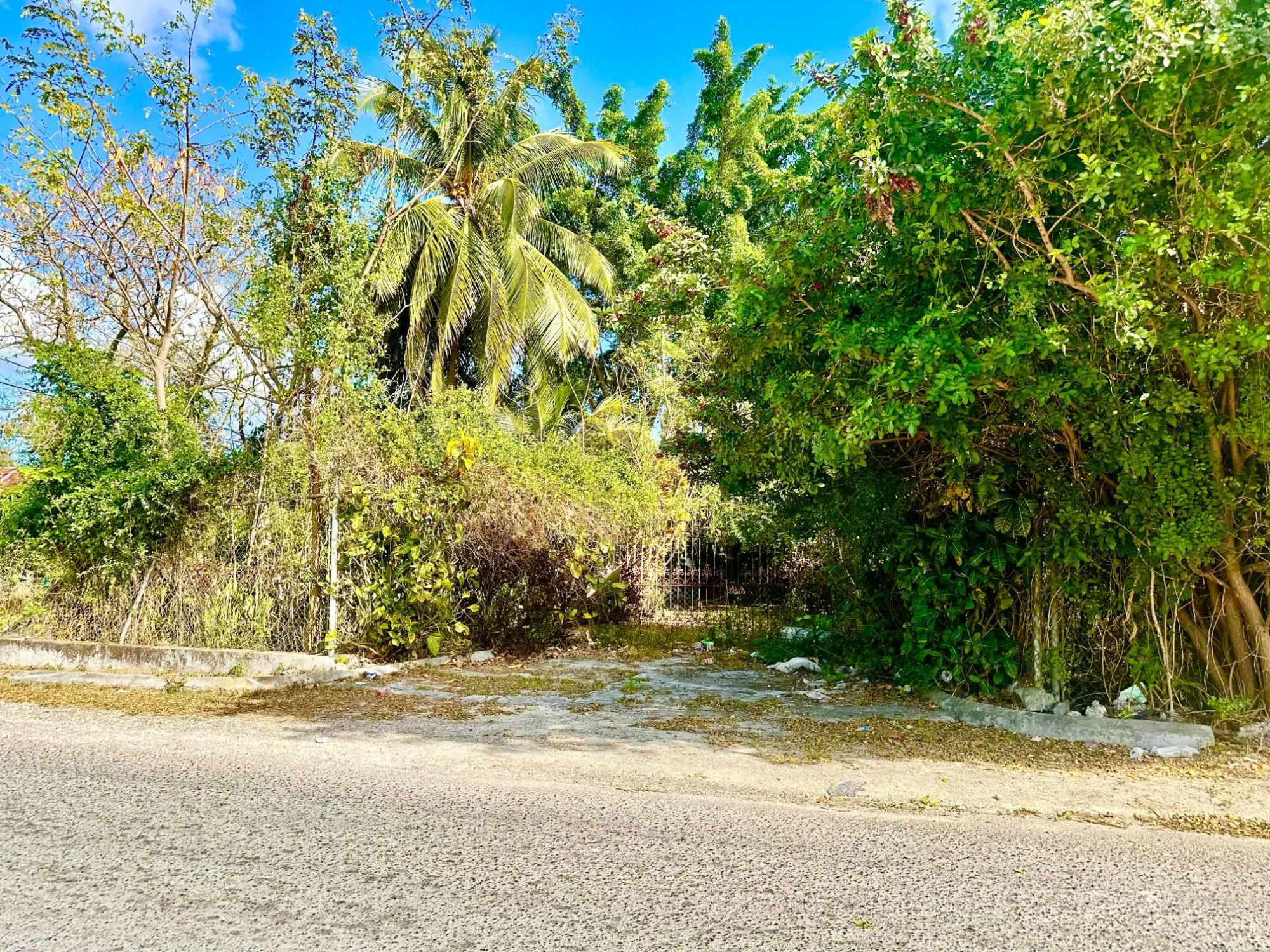 TONIQUE WILLIAMS-DARLING PARCEL 5 — 5.608 ACRES