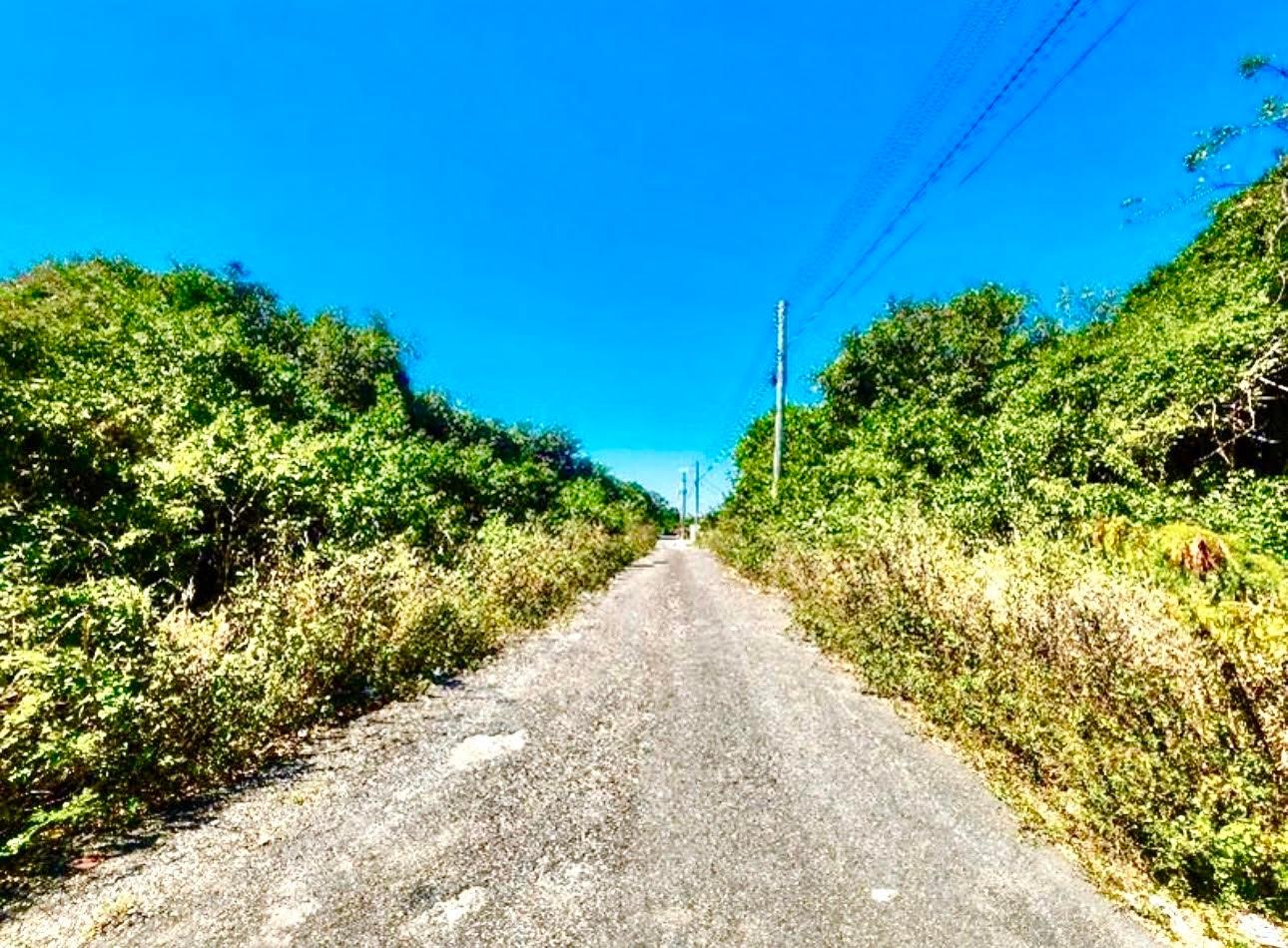 TONIQUE WILLIAMS-DARLING PARCEL 5 — 5.608 ACRES