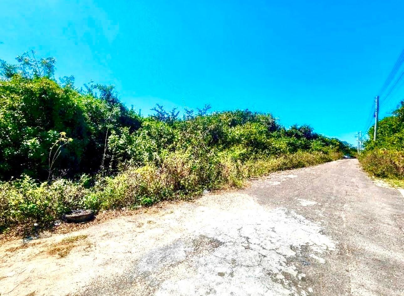 TONIQUE WILLIAMS-DARLING PARCEL 5 — 5.608 ACRES