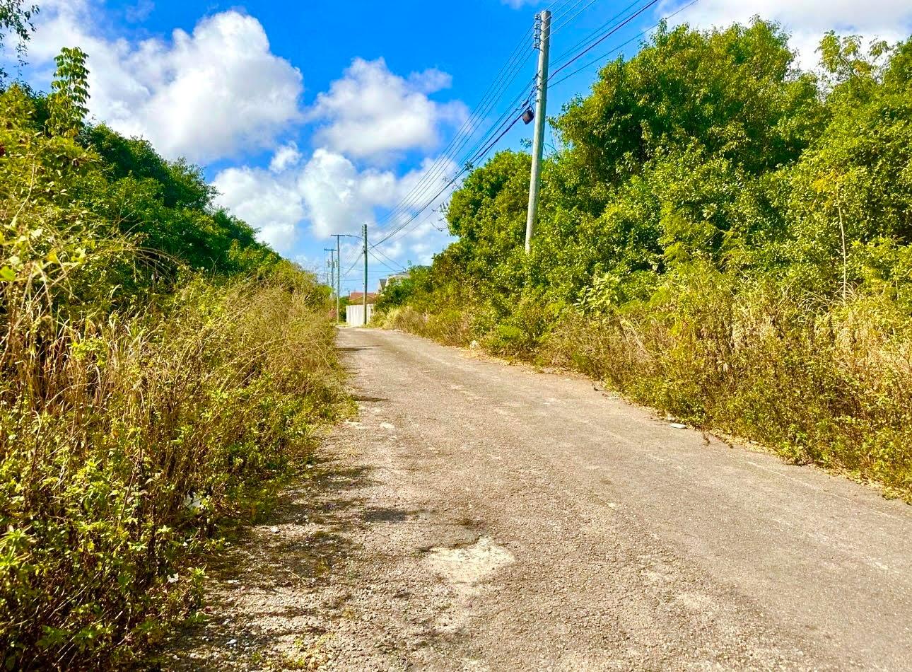 TONIQUE WILLIAMS-DARLING PARCEL 5 — 5.608 ACRES