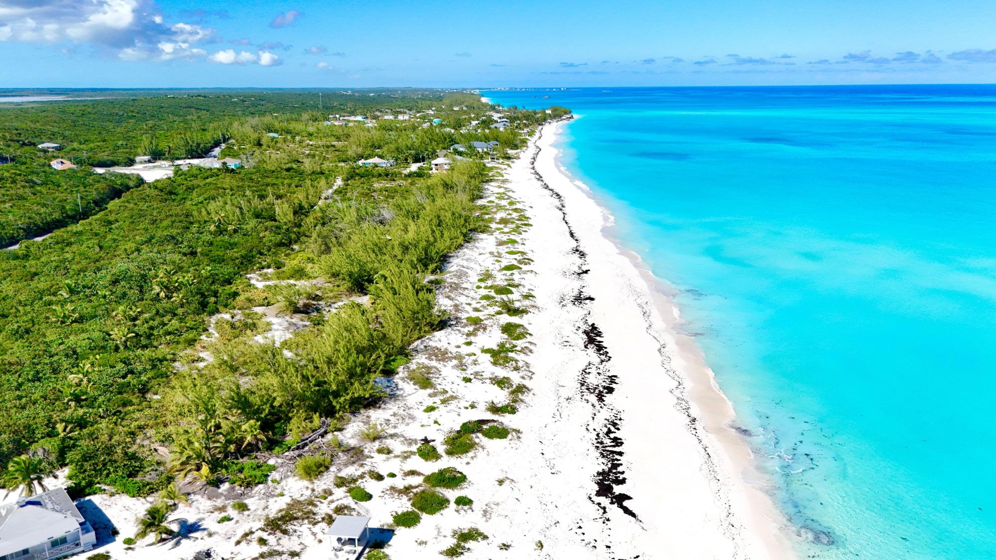 QUEEN’S HIGHWAY, JIMMY HI