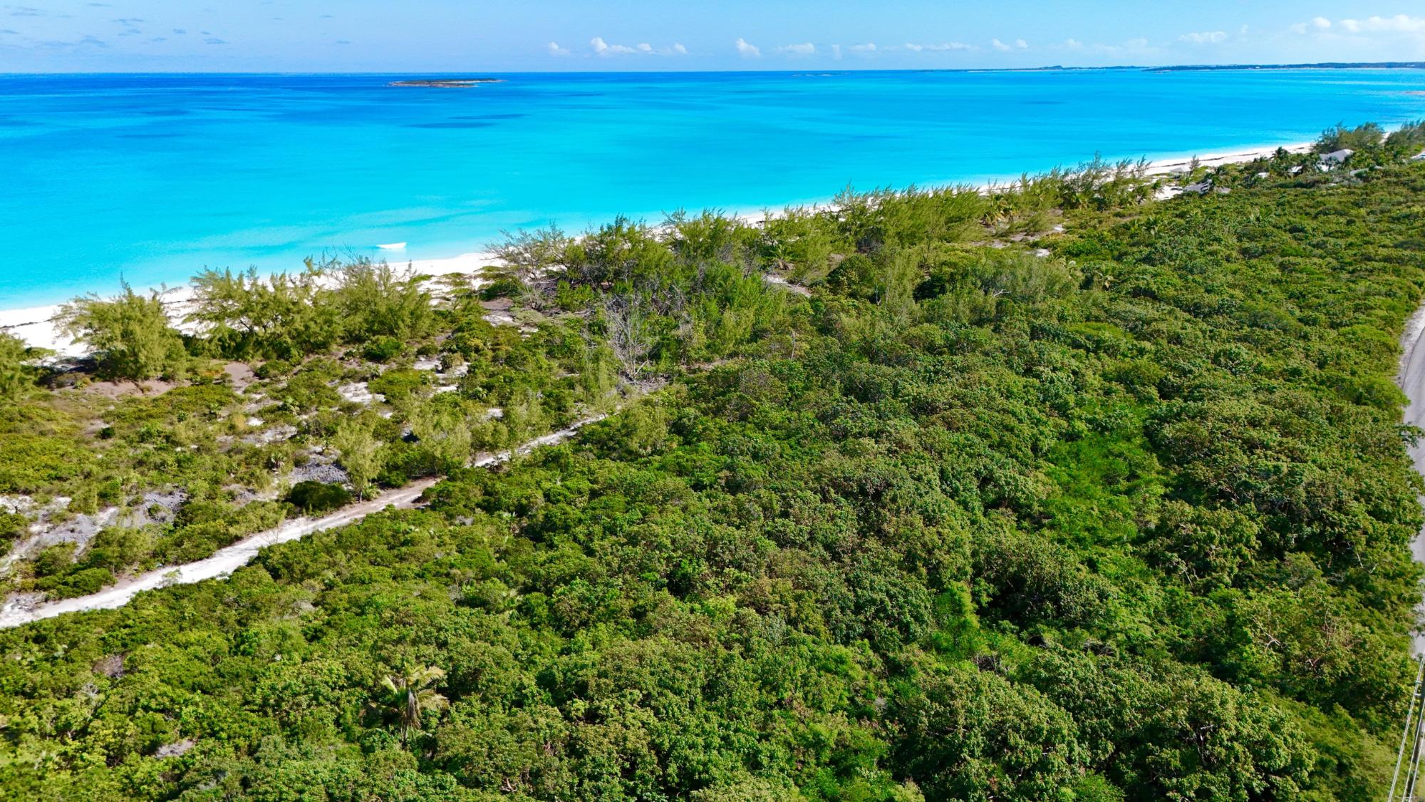 QUEEN’S HIGHWAY, JIMMY HI