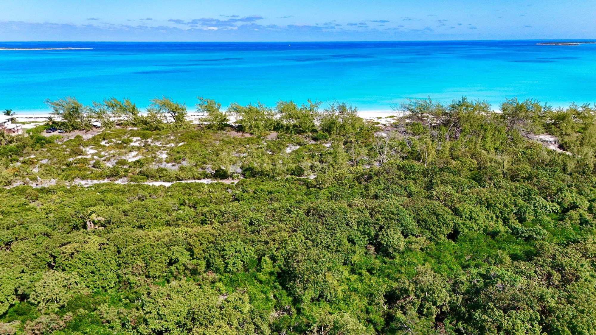 QUEEN’S HIGHWAY, JIMMY HI