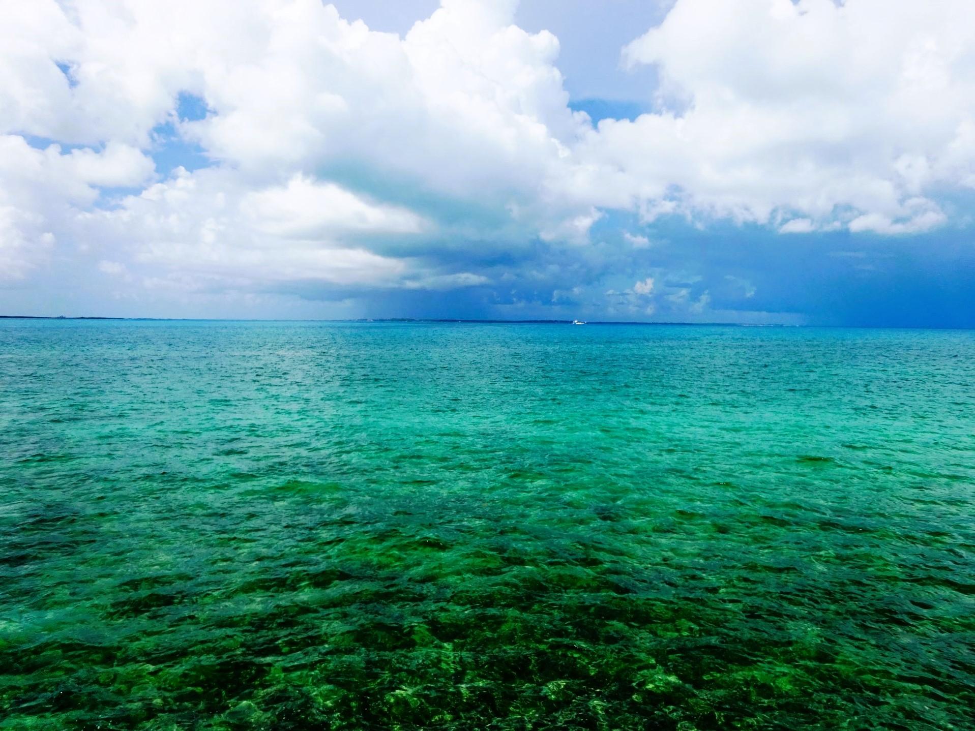 AURORA 48, EASTERN ROAD