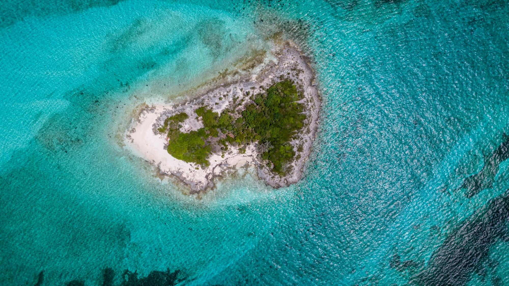 MINI CAY