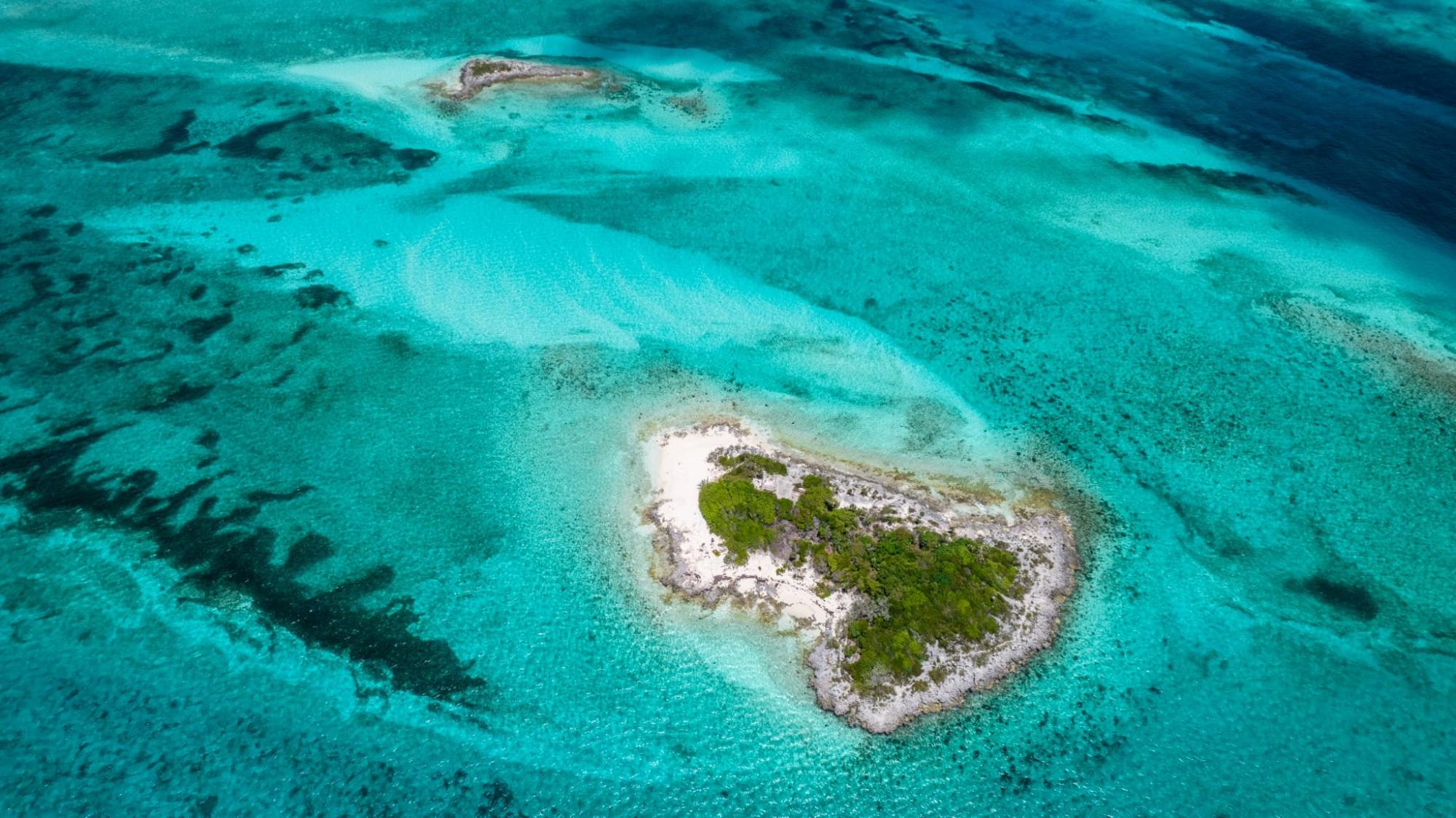 MINI CAY