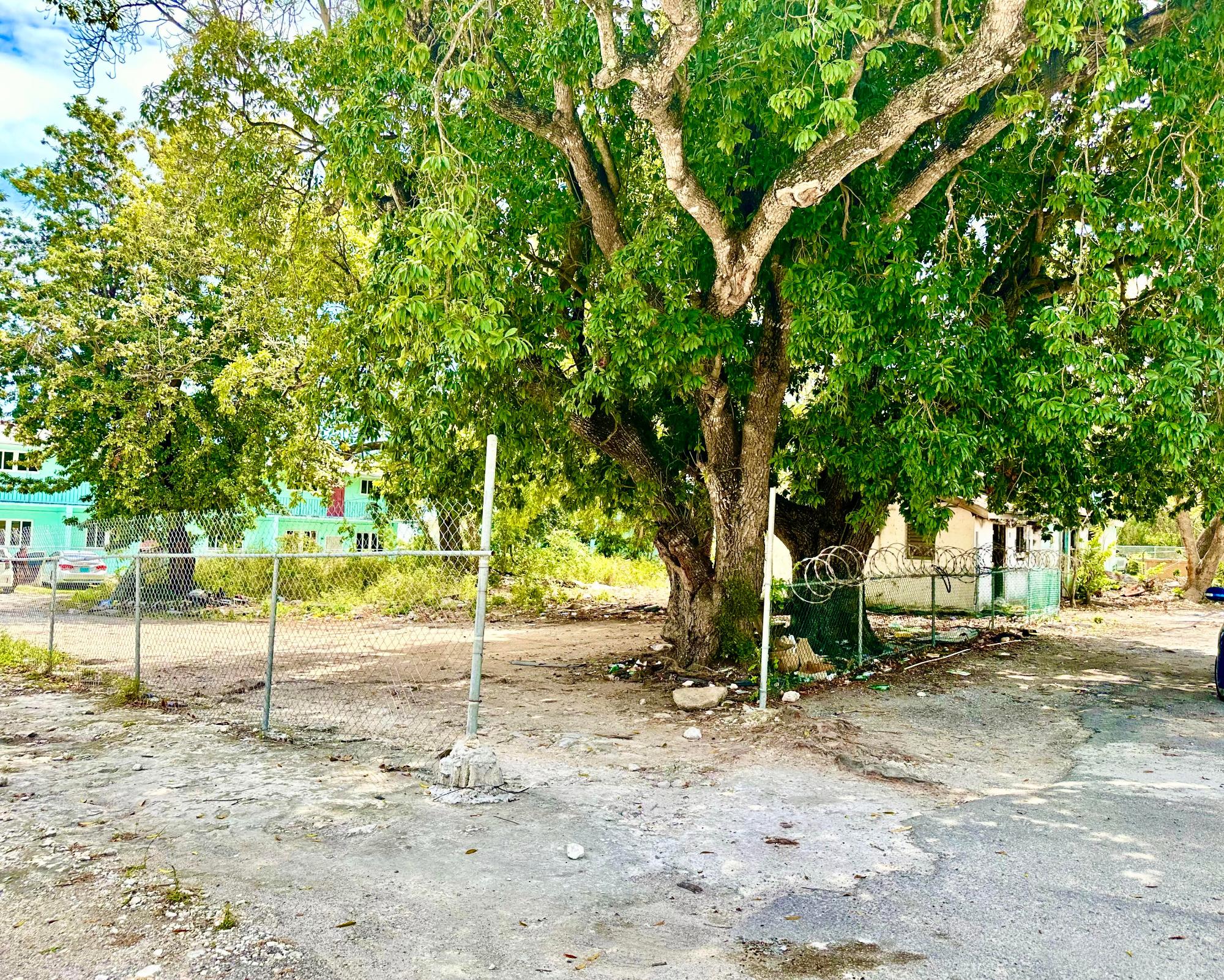 SF Home &14,833 lot!