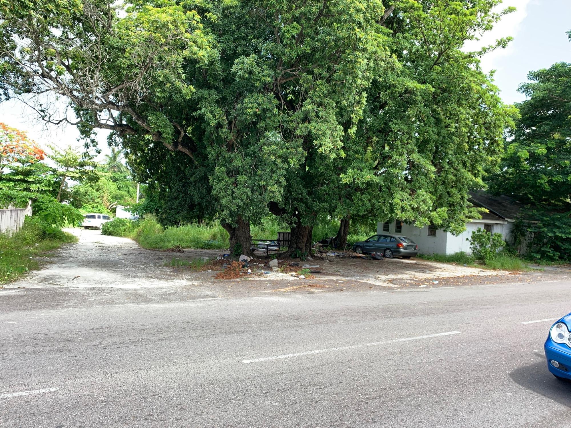 SF Home &14,833 lot!