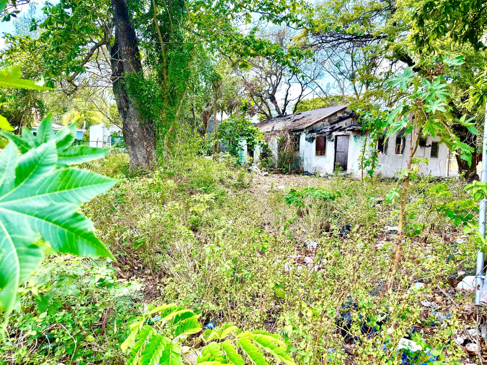 SF Home &14,833 lot!