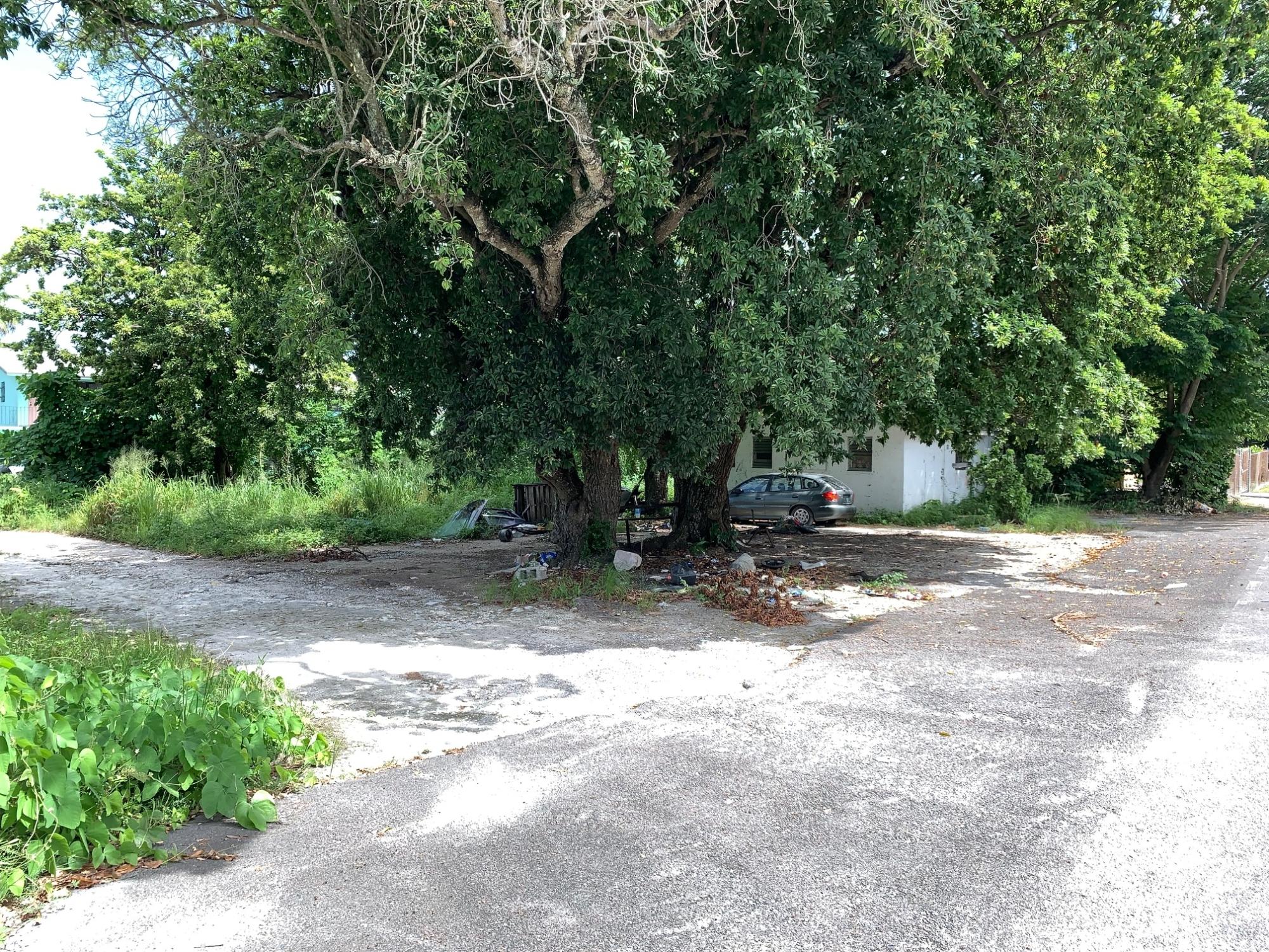 SF Home &14,833 lot!